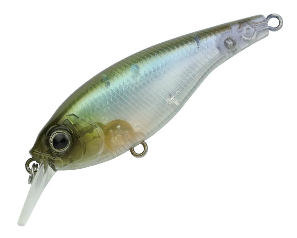 Amazon.co.jp: ガンクラフト(Gan Craft) AYRTON (アイルトン) 63SR #04